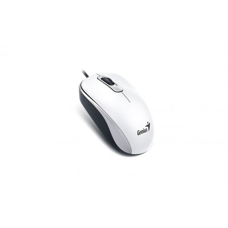 Genius DX 110 fekete USB Egér